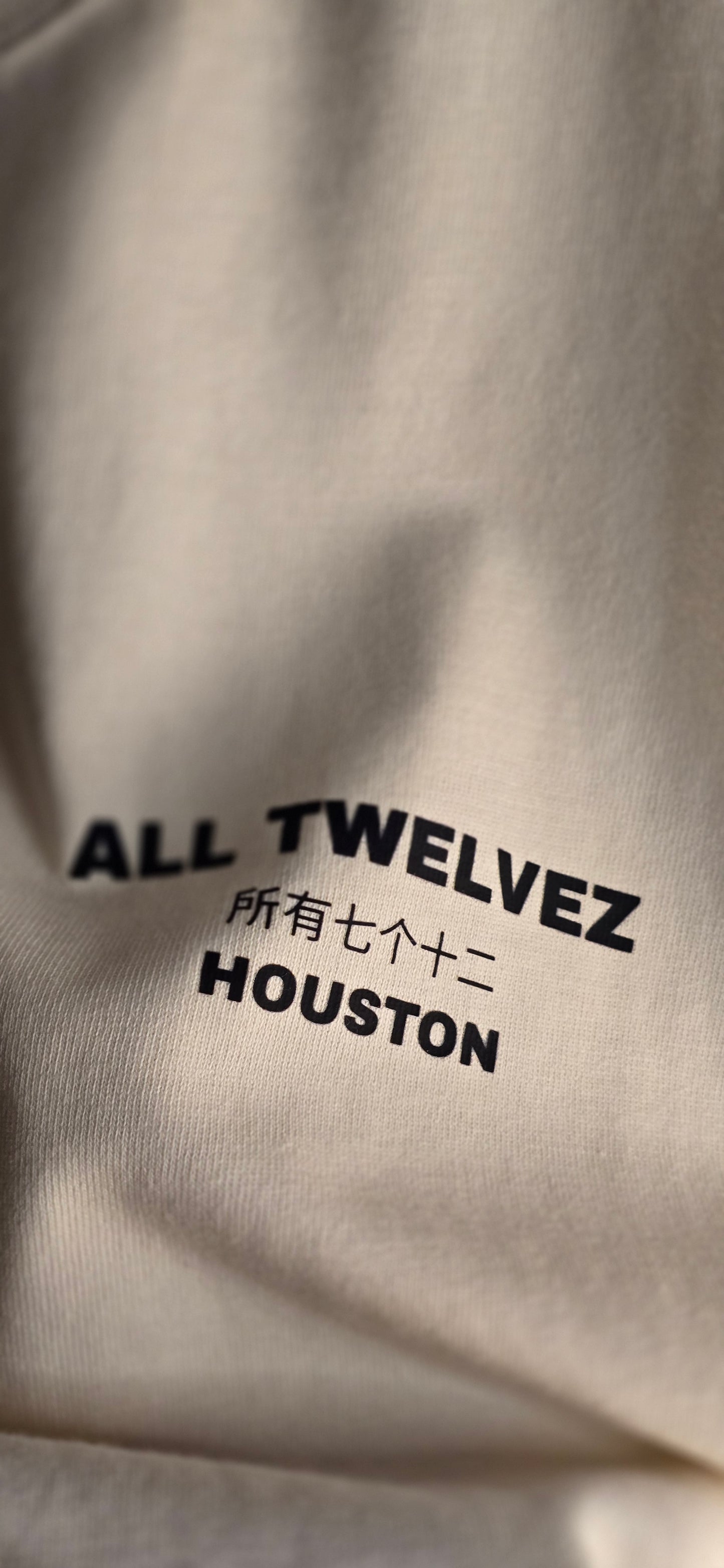 ALL TWELVEZ  LUX. TEE